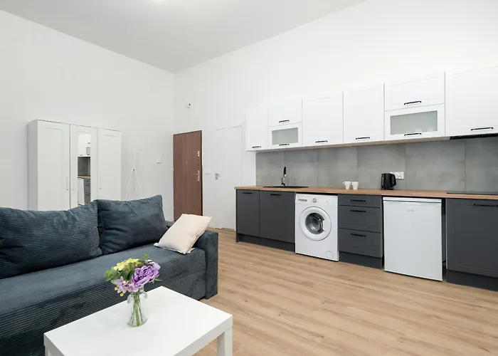 Modern Very Berry In By Renters Apartment