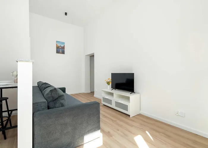 Modern Very Berry In By Renters Apartment *